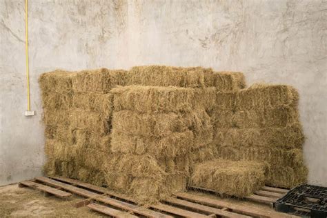 7 Rules For Proper Hay Storage | Hay storage, Horse feed storage, Horse hay