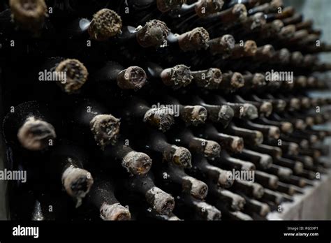 Extremely old wine bottles in the process of aging Stock Photo - Alamy