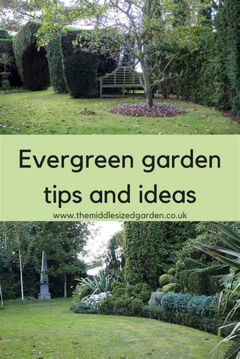 A clever evergreen garden with a touch of grandeur - The Middle-Sized ...