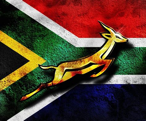 #Congrats bokke | Springbok rugby, Rugby wallpaper, Springboks rugby ...