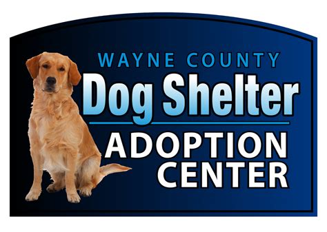 Wayne County Dog Shelter | Shelter dogs, Animal shelter, Wayne county