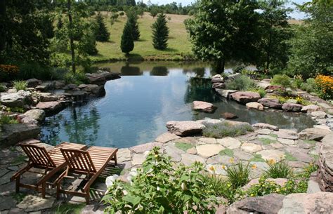 115 Nature-Inspired Pool with Vanishing Edge | Natural backyard pools ...