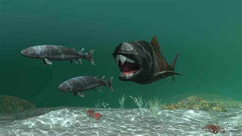 Dunkleosteus Pictures - AZ Animals