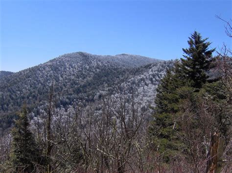 Mt Guyot - North Carolina | peakery