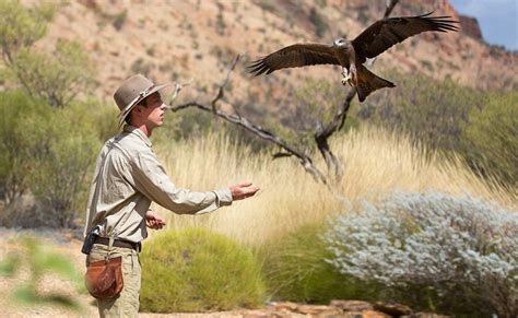 Alice Springs Desert Park Entry & Transfers | Emu Run Experience