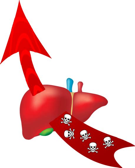 Silent Liver Disease - Jewells Online Offers