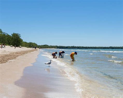 Sandbanks Provincial Park Camping: The Ultimate Guide To Camping In ...