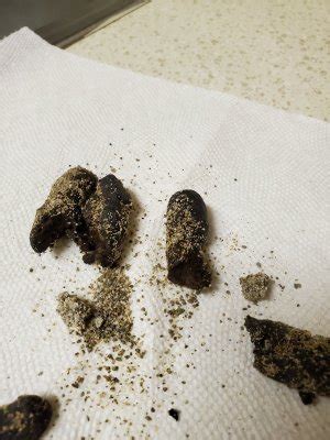 Please help - is my cat's poop normal it looks very dark and I'm ...