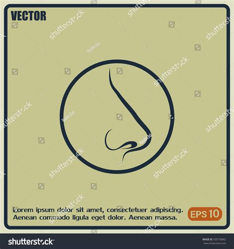 Human Nose Vector Isolated Stock Vector (Royalty Free) 320778962 ...