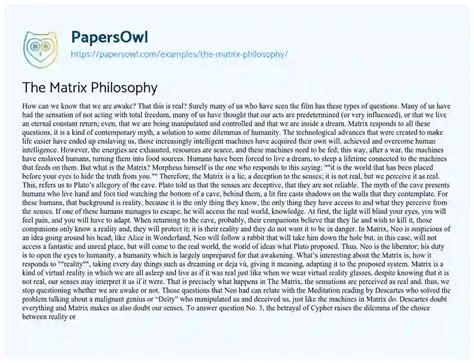 The Matrix Philosophy - Free Essay Example - 776 Words | PapersOwl.com