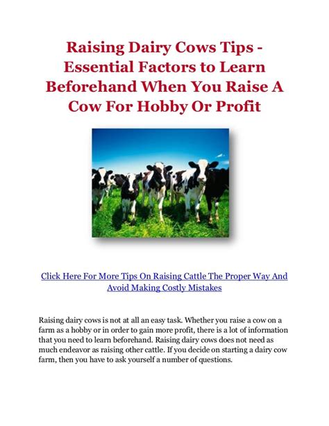 Raising Dairy Cows Tips - Essential Factors to Learn Beforehand When