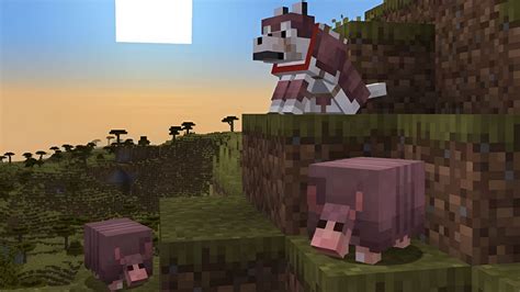 When is the armadillo releasing in Minecraft? Expected release date