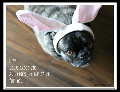 Happy Easter! Funny Pug Easter Greeting Card - Suzanne Carillo