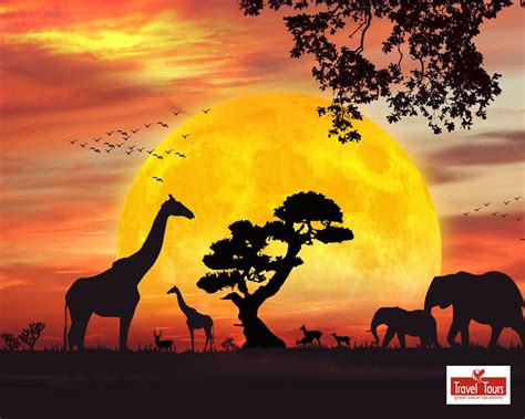 african safari clip art free 20 free Cliparts | Download images on ...