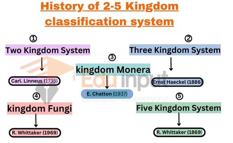 Kingdom Fungi Classification