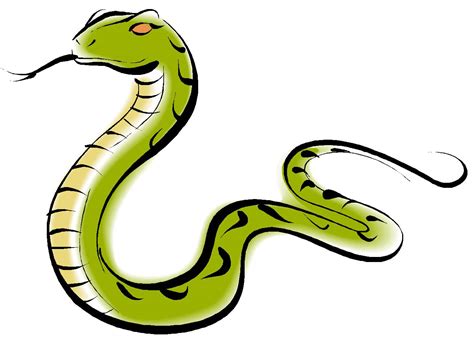 Anaconda Drawing - ClipArt Best