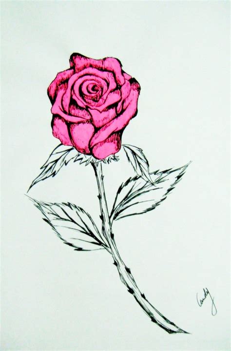 pink rose flower drawing - Clip Art Library