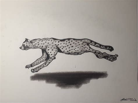 Cheetah Running Drawing by LonelyArtistStudios on DeviantArt