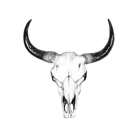 Bull Skull Drawing by John Gordon Art – John Gordon