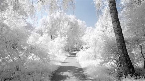 Infrared Landscape Wallpapers - Wallpaper Cave