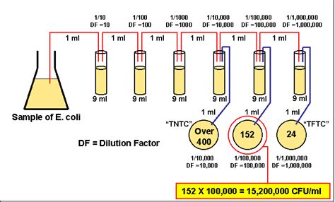 dilution factor formula