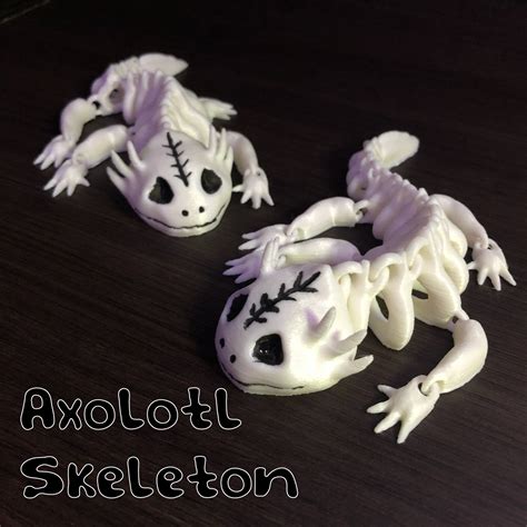 STL file Axolotl Articulated Flexible Skeleton 🦎・Design to download and ...