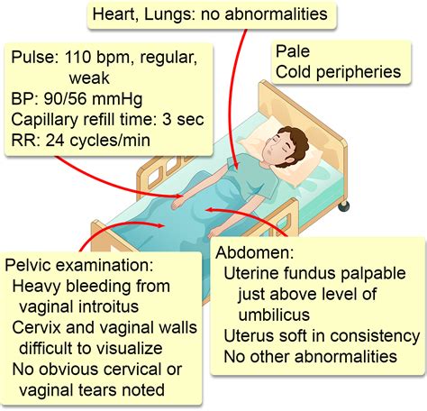 Postpartum Hemorrhage Case Study Docx Postpartum Hemorrhage Case | The ...