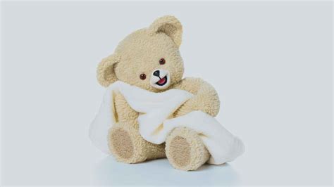 5 Fun Facts About Snuggle Bear | PopIcon.life