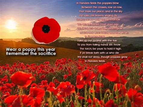 The beautiful poem which inspired wearing a poppy in Remembrance of ...