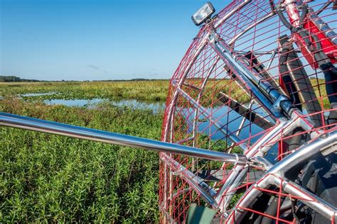 Spirit of the Swamp Airboat Tour: What to Expect - Travel Addicts