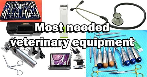 Most Needed Veterinary Equipment - 6 of the Best! | Veterinary, Vet ...