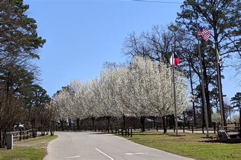 Home - Holly Lake Ranch Association