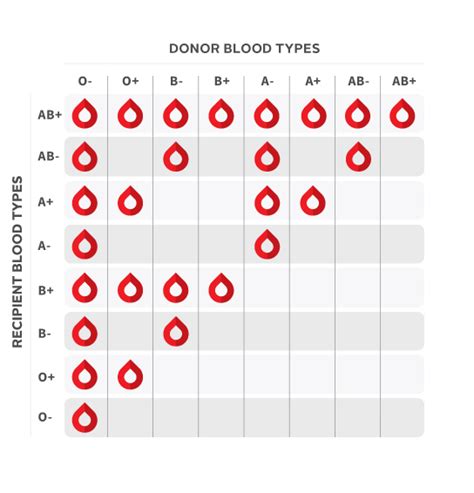 Which blood types are compatible with each other: Blood type compatibility