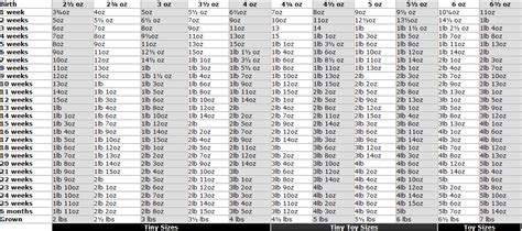 Cockapoo Size And Weight Chart - Pets of Life