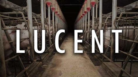 Lucent: The Documentary That Exposes The Dark Side of Australia’s Pig ...