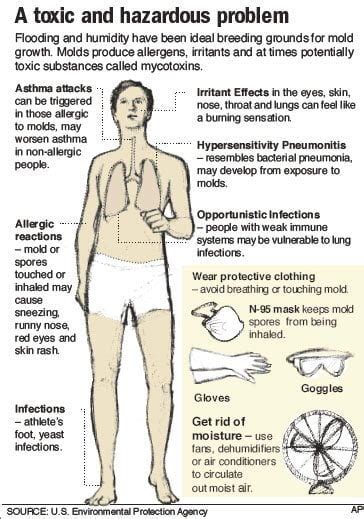 Long Term Effects of Black Mold | Black Mold Symptoms