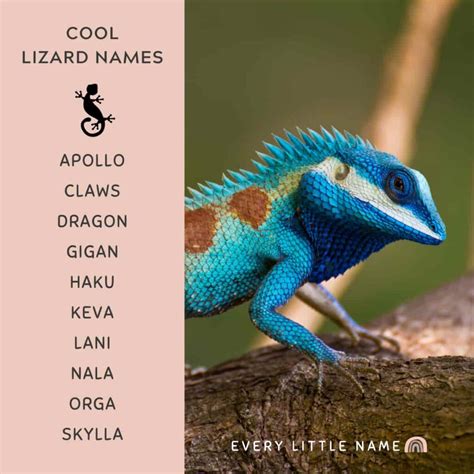 300+ Best Lizard Names (Cute, Funny, and Cool) - Every Little Name