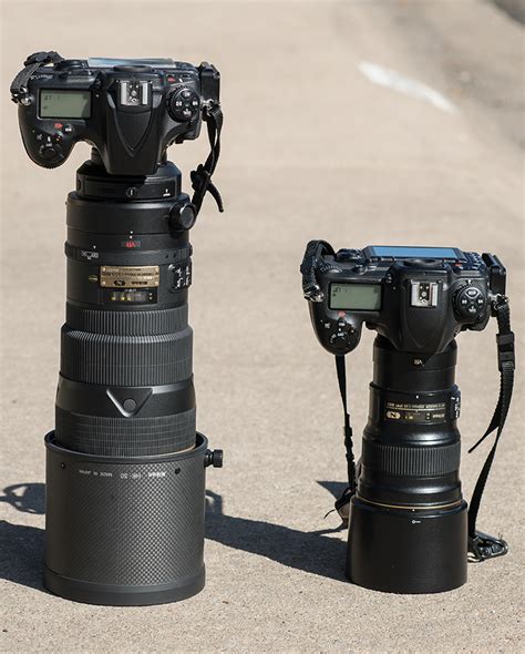 Battle of the 300mm lenses – Tom Bol Photography, LLC