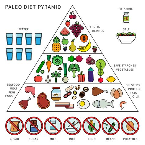 The Best Paleo Diet Food Pyramid - Best Recipes Ideas and Collections