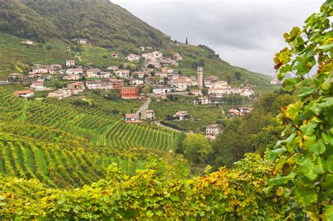 Veneto Wine Region, Italy | Winetourism