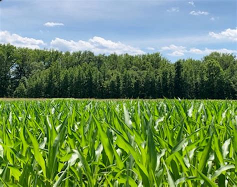 Hayfield Farm - Historic Virginia Land Conservancy