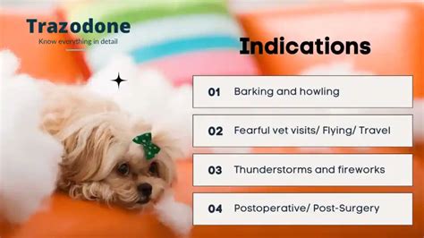 Trazodone Hydrochloride for Dogs and Cats – The Veterinary Medicine