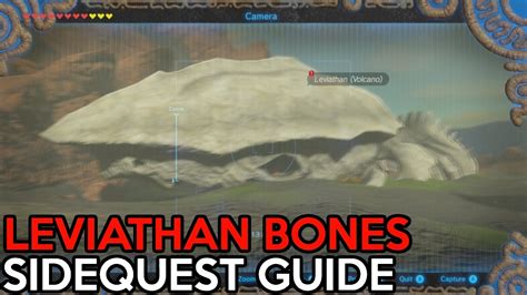 Leviathan Bones Sidequest Guide- The Legend Of Zelda Breath Of The Wild ...