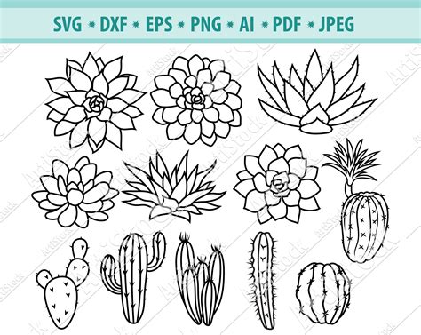 Cactus Svg Bundle Cactus Clipart Cactus Svg Succulent Cut File Cactus ...