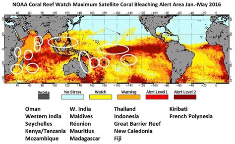 Global Coral Bleaching 2014-2017: Status and an Appeal for Observations