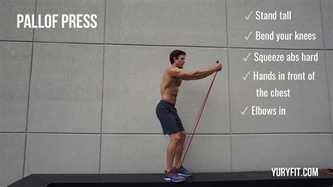 How to do a Pallof Press with resistance bands | YuryFit - YouTube