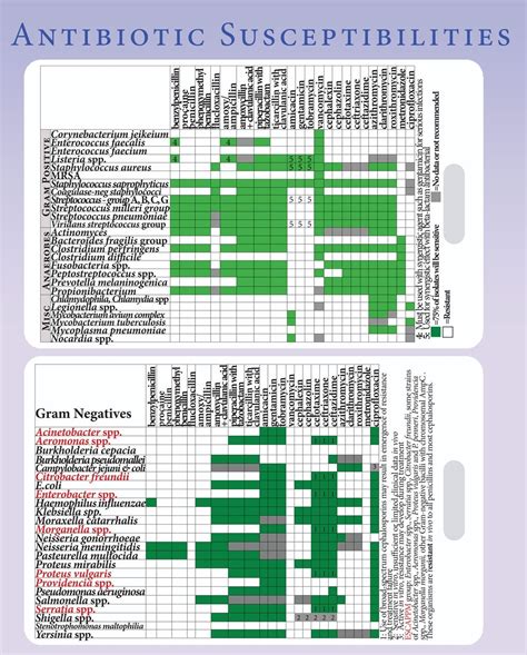 Antibiotic Susceptibility (Antibiogram) Lanyard Card