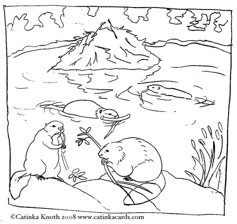 Beaver Coloring Pages