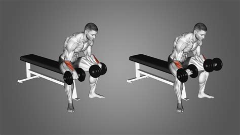 Dumbbell Reverse Wrist Curl: Benefits, Muscles Worked, and More ...