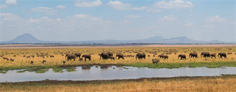 Arusha National Park